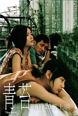 《青苔》：球场上的野蛮生长，一场关于青春与汗水的硬仗！