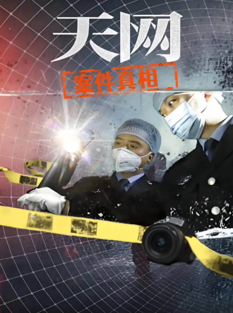 天网：案件真相 海报